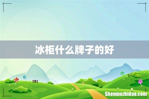 冰柜什么牌子的好