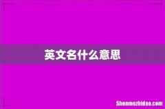 英文名什么意思
