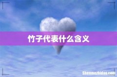 竹子代表什么含义