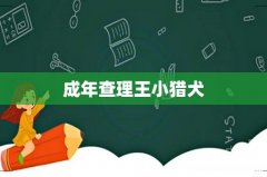 成年查理王小猎犬