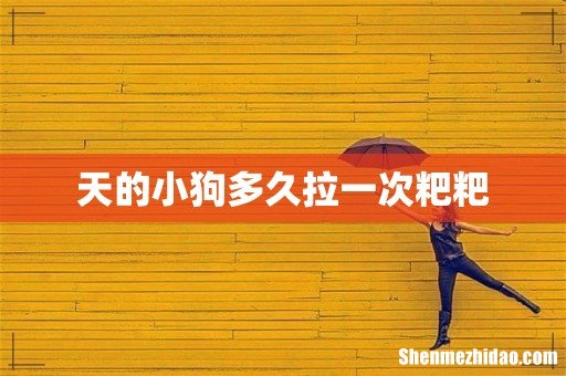 天的小狗多久拉一次粑粑