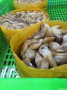 海鲜圣子怎么弄的 海鲜圣子怎么做最好吃