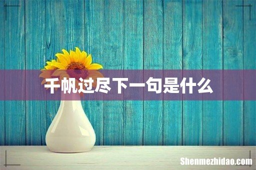 千帆过尽下一句是什么