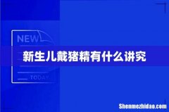 新生儿戴猪精有什么讲究