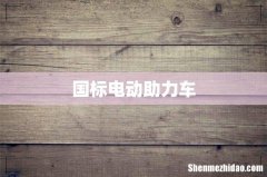国标电动助力车