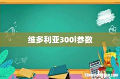 维多利亚300i参数