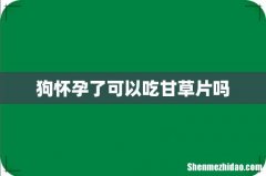 狗怀孕了可以吃甘草片吗
