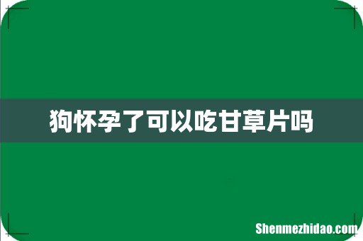 狗怀孕了可以吃甘草片吗