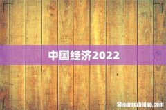 中国经济2022
