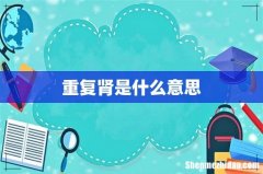 重复肾是什么意思