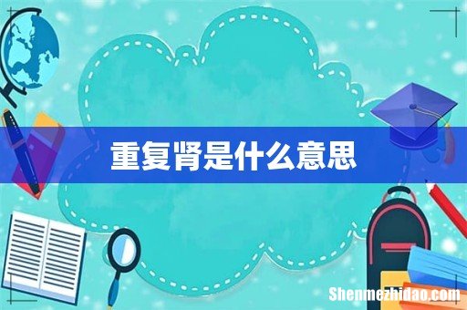 重复肾是什么意思