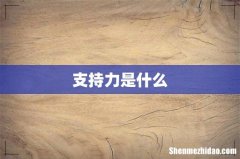 支持力是什么