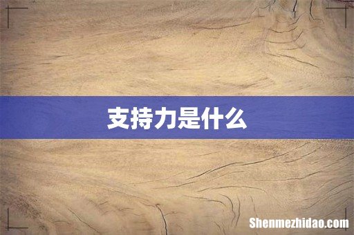 支持力是什么