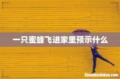 一只蜜蜂飞进家里预示什么