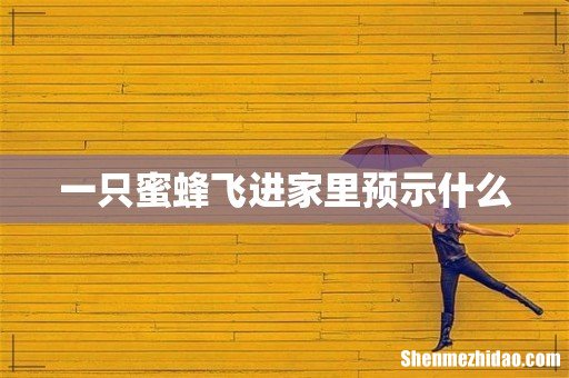 一只蜜蜂飞进家里预示什么