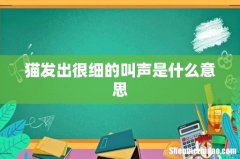 猫发出很细的叫声是什么意思