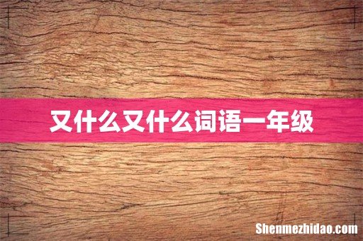 又什么又什么词语一年级