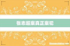 张志超案真正案犯