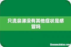 只流鼻涕没有其他症状是感冒吗