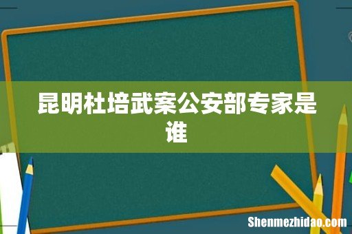 昆明杜培武案公安部专家是谁