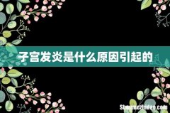子宫发炎是什么原因引起的