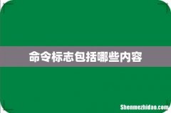 命令标志包括哪些内容