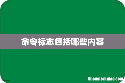 命令标志包括哪些内容