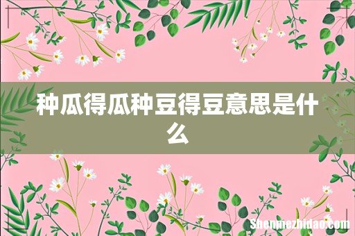 种瓜得瓜种豆得豆意思是什么