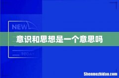 意识和思想是一个意思吗