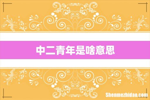 中二青年是啥意思
