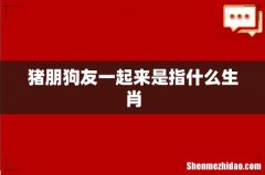 猪朋狗友一起来是指什么生肖