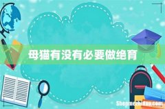 母猫有没有必要做绝育