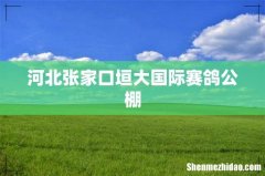 河北张家口垣大国际赛鸽公棚