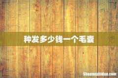 种发多少钱一个毛囊