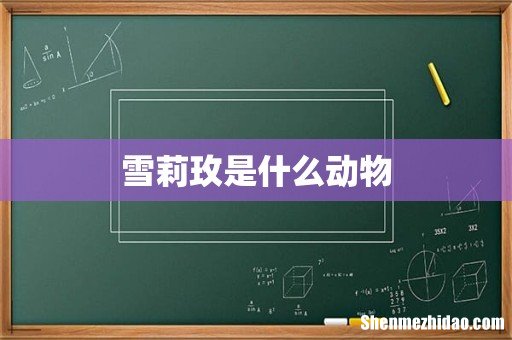 雪莉玫是什么动物