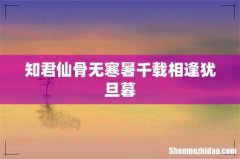 知君仙骨无寒暑千载相逢犹旦暮
