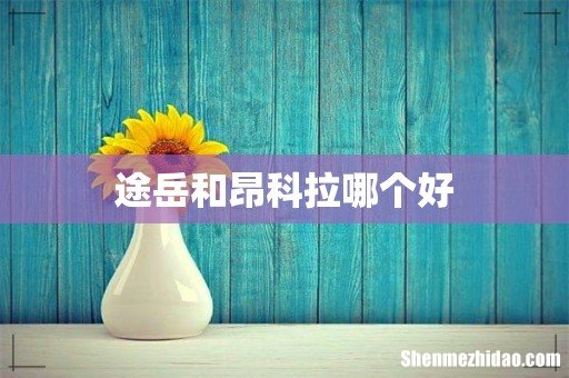 途岳和昂科拉哪个好