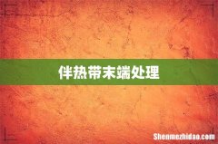 伴热带末端处理