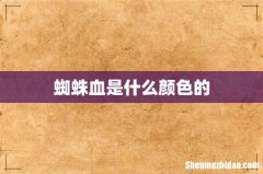 蜘蛛血是什么颜色的