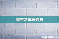 重生之沉云夺日