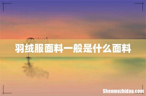 羽绒服面料一般是什么面料