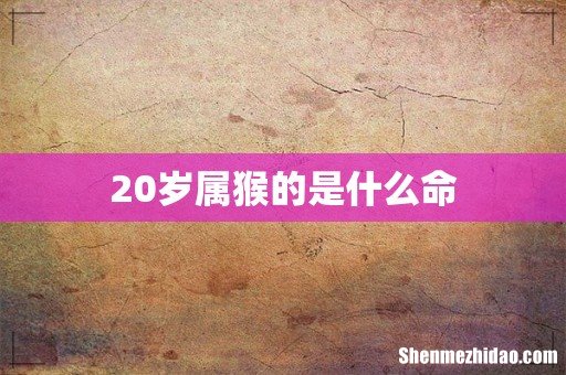 20岁属猴的是什么命