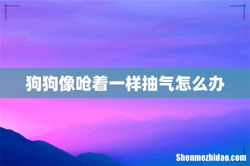 狗狗像呛着一样抽气怎么办