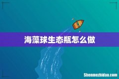 海藻球生态瓶怎么做