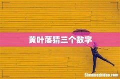 黄叶落猜三个数字