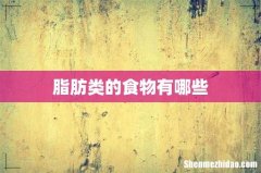 脂肪类的食物有哪些