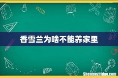 香雪兰为啥不能养家里