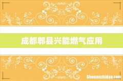 成都郫县兴能燃气应用