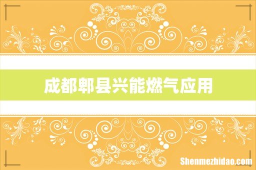 成都郫县兴能燃气应用