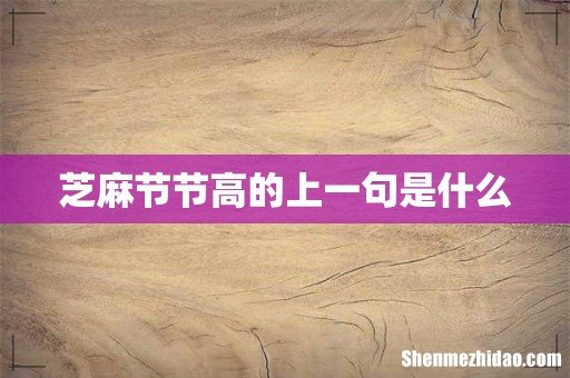 芝麻节节高的上一句是什么